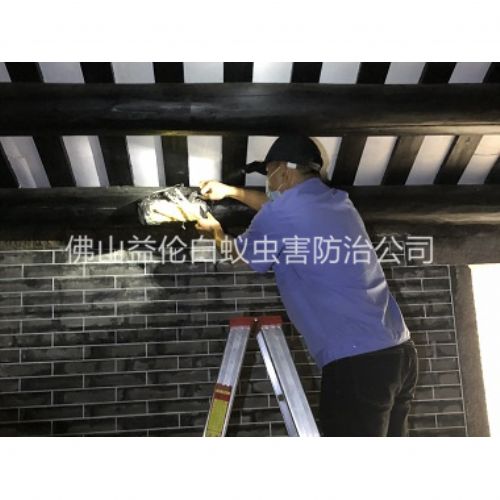 迳口祠堂杀灭白蚁工程