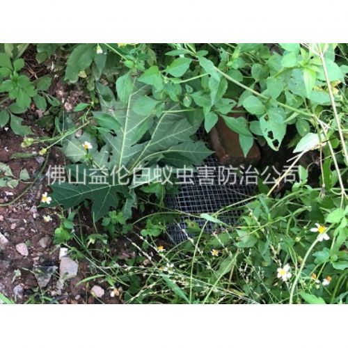 西南住宅区处理蛇患工程